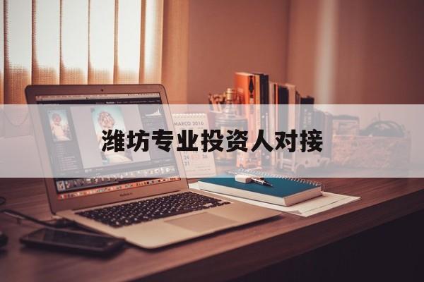 盘锦市潍坊专业投资人对接(潍坊专业投资人对接中心)