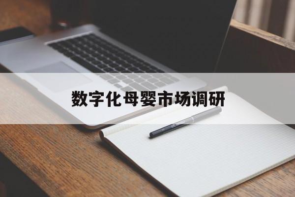 盘锦市数字化母婴市场调研(数字化母婴市场调研报告)