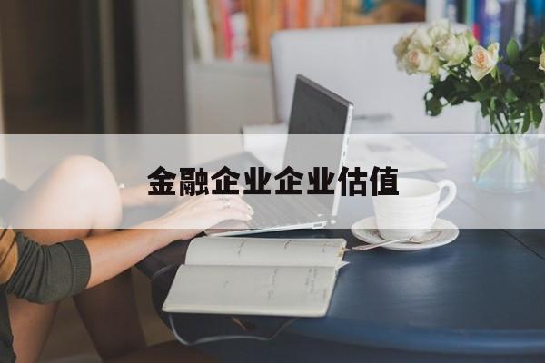 盘锦市金融企业企业估值(最新企业估值怎么填)